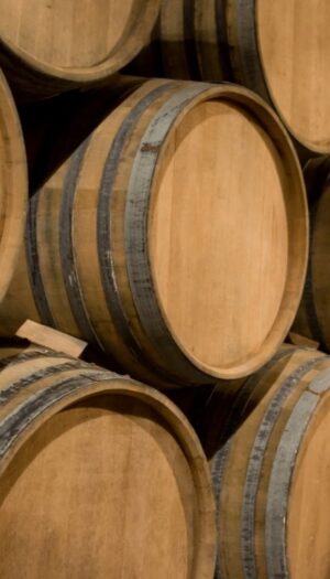 &ldquo;Cantina Italia&rdquo;, le giacenze di vino si mantengono alte: ad aprile 2026 +5,6% sul 2025