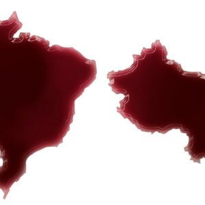 Da Brasile e Cina riparte la promozione del vino italiano in Sudamerica e Asia, con Vinitaly