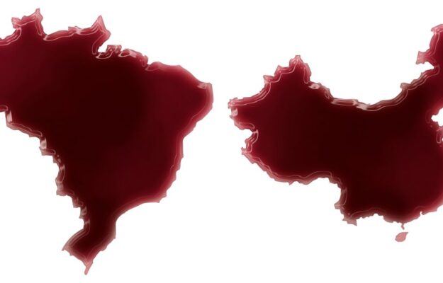 ASIA, BRASILE, CINA, EXPORT, MERCATI, MERCOSUR, PROMOZIONE, SUDAMERICA, VERONAFIERE, VINITALY, WINE SOUTH AMERICA, WINE TO ASIA, Mondo