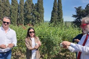 &ldquo;Butterfly Day&rdquo; a Bolgheri: la liberazione delle farfalle tra i vigneti pi&ugrave; poetici del mondo