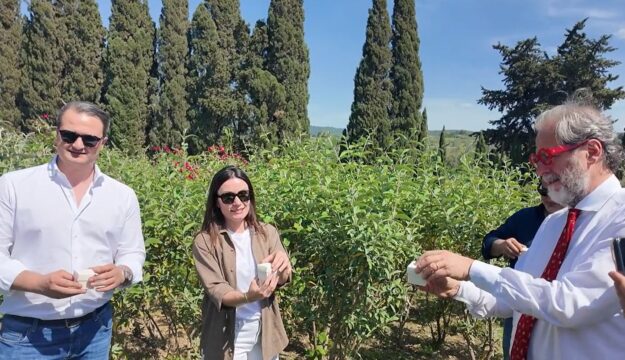 &ldquo;Butterfly Day&rdquo; in Bolgheri: the freeing of butterflies among the most poetic vineyards worldwide