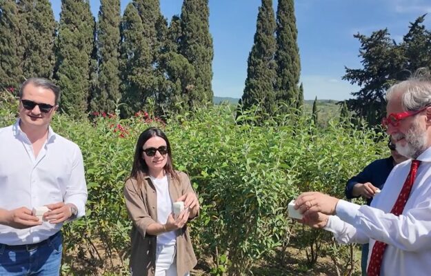 ANGELO GAJA, BIODIVERSITÀ, BOLGHERI, Ca' Marcanda, FAMIGLIA GAJA, Farfalle, GAJA, GIOVANNI GAJA, Italia