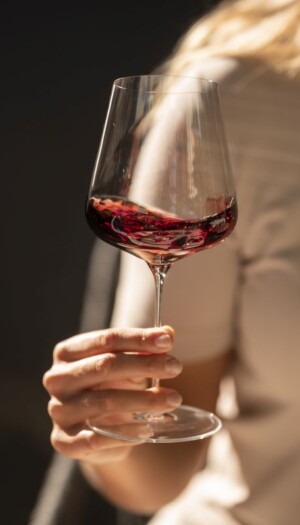 Dalle &ldquo;Giornate Altoatesine del Pinot Nero&rdquo; a &ldquo;Vinorum-Festival del Vino d&rsquo;Abruzzo&rdquo;, ecco gli eventi