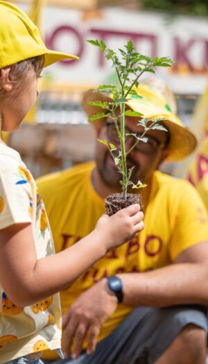 La Legge di Orientamento che cambi&ograve; l&rsquo;agricoltura: oggi sono 380.000 le aziende &ldquo;multifunzionali&rdquo;