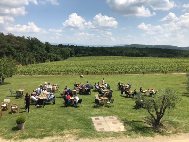 Tra vini ed eventi, il 30 e 31 maggio torna “Cantine Aperte”