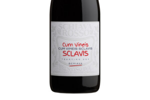 Cavit, Doc Trentino Schiava Cum Vineis Sclavis 2024