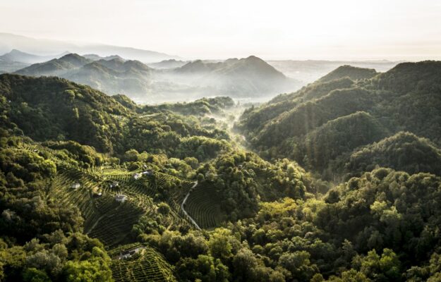 CLIMATE CHANGE, COLLINE DEL CONEGLIANO VALDOBBIADENE PROSECCO SUPERIORE DOCG, CONEGLIANO VALDOBBIADENE PROSECCO SUPERIORE DOCG, CONSORZIO CONEGLIANO VALDOBBIADENE PROSECCO SUPERIORE DOCG, PATRIMONIO UNESCO, Italia