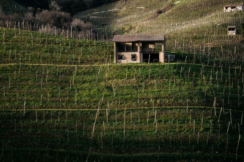 Arcangelo Piai, le Colline del Conegliano Valdobbiadene Prosecco Superiore Docg