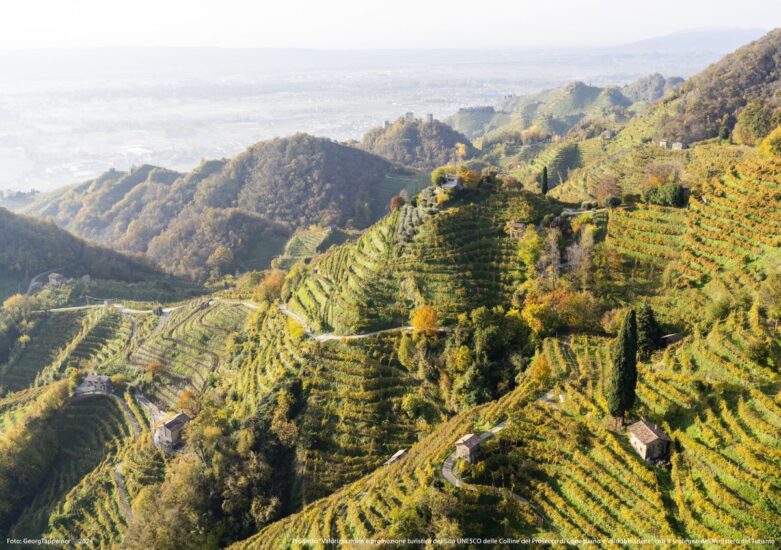 Georg Tappeiner, le Colline del Conegliano Valdobbiadene Prosecco Superiore Docg 