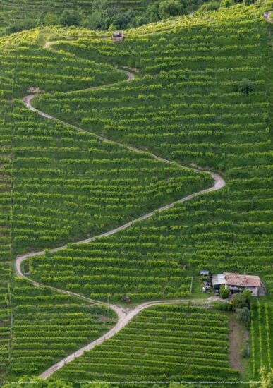 Georg Tappeiner, le Colline del Conegliano Valdobbiadene Prosecco Superiore Docg 