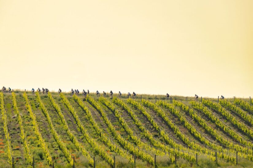 “Eroica Montalcino”, la cicloturistica nelle strade bianche tra i vigneti del Brunello (ph: Aurora Bandinelli) 
