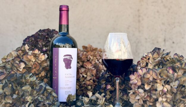 Un vino per Niscemi: il ricavato di Fata Niscim per la ricostruzione del paese colpito dalla frana