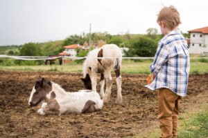 Porte aperte nelle &ldquo;Fattorie didattiche&rdquo; italiane, tra le offerte in agriturismo cresciute di pi&ugrave;