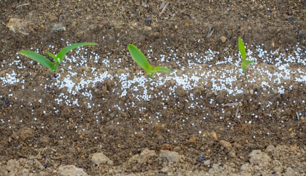 La crisi dello Stretto di Hormuz blocca i fertilizzanti e minaccia l&rsquo;agricoltura mondiale