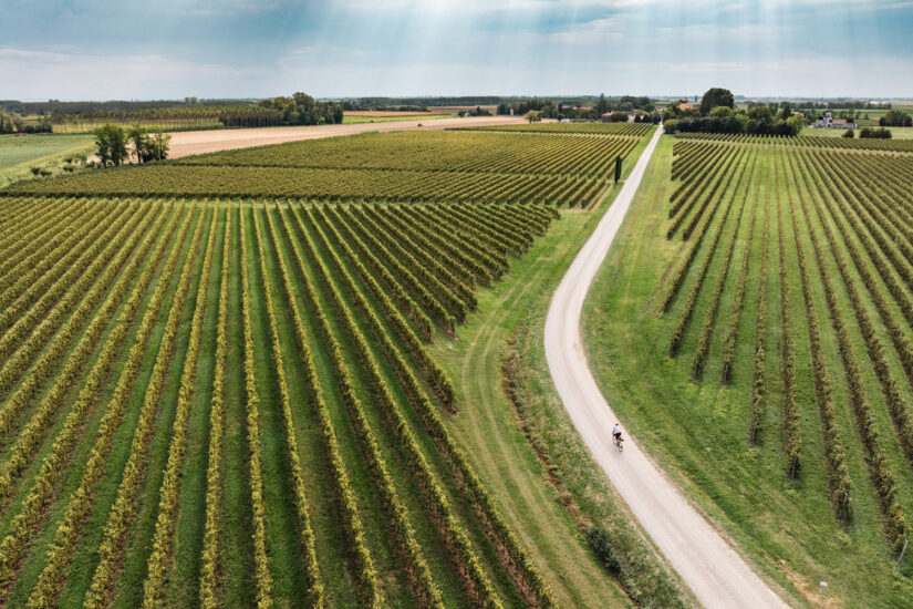 COLLIO, DENOMINAZIONE, NUMERI, SOLIDARIETÀ, TURISMO, Su i Quaderni di WineNews
