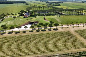 Cosa pu&ograve; dare l&rsquo;architettura al mondo del vino? La riflessione lanciata dalla Fondazione Benetton
