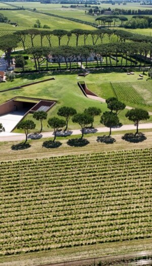 Cosa pu&ograve; dare l&rsquo;architettura al mondo del vino? La riflessione lanciata dalla Fondazione Benetton
