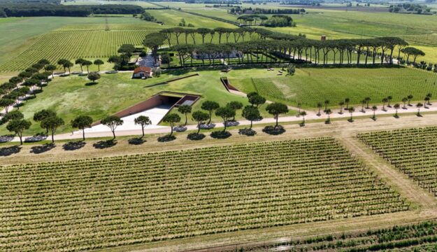 What can architecture give to wine world? The reflection launched by the Benetton Foundation