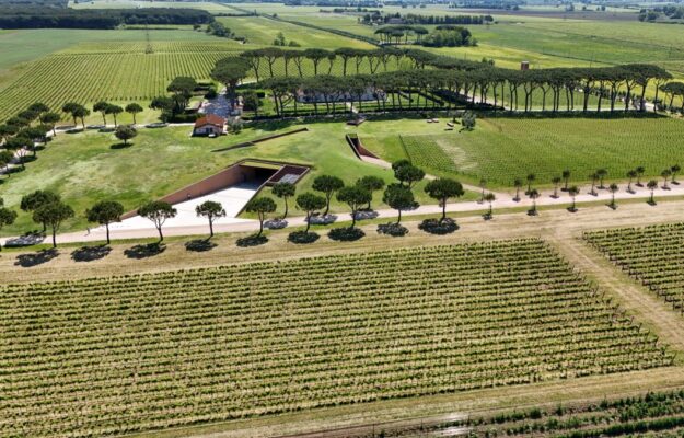 What can architecture give to wine world? The reflection launched by the Benetton Foundation
