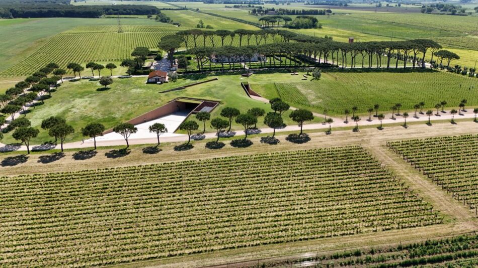 Guado al Tasso di Marchesi Antinori firmata da Fiorenzo Valbonesi asv3 a Bolgheri