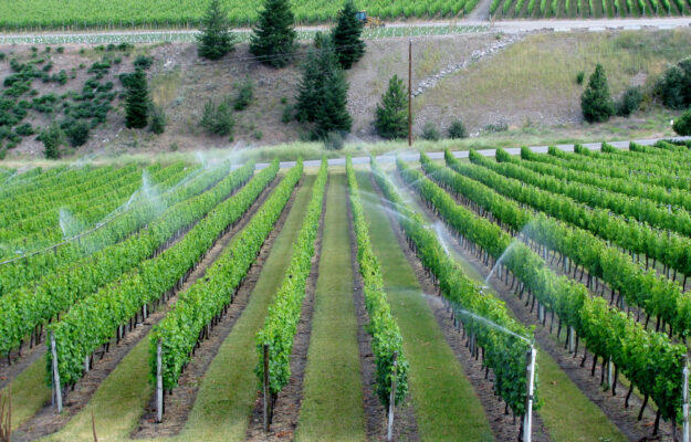 From Burgundy to Etna, in Spain or California, in any region where water must be managed differently