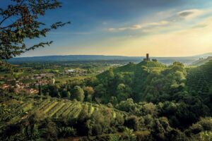 Vino, giovani, salute, mercati, innovazione: il Congresso Assoenologi n. 79, a Conegliano