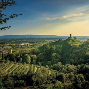 Vino, giovani, salute, mercati, innovazione: il Congresso Assoenologi n. 79, a Conegliano