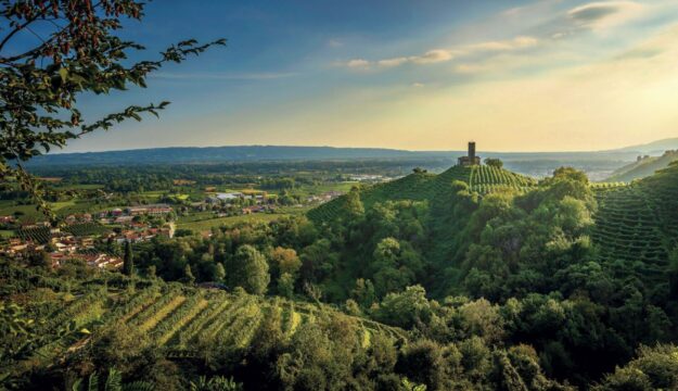 Wine, young people, health, markets, innovation: Assoenologi Congress No. 79 in Conegliano