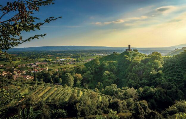 Wine, young people, health, markets, innovation: Assoenologi Congress No. 79 in Conegliano