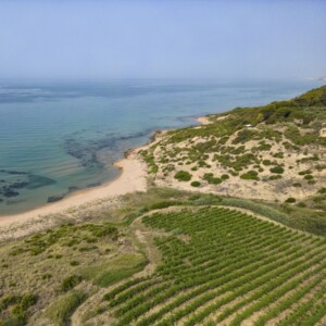 La Sicilia &egrave; l&rsquo;&ldquo;International Wine Region of the Year&rdquo; 2026 dei &ldquo;Wine Enthusiast Wine Star Awards&rdquo;