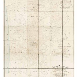 La storia in asta, con la mappa monumentale di Bolgheri del 1837 (prima del Viale dei Cipressi)