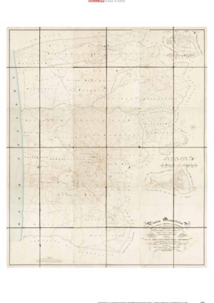 La storia in asta, con la mappa monumentale di Bolgheri del 1837 (prima del Viale dei Cipressi)