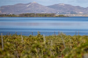 Stagnone, Altopiano dei Bagli, Triglia e San Nicola: ecco le Uga del Marsala Doc