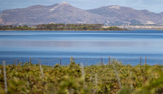 Stagnone, Altopiano dei Bagli, Triglia e San Nicola: ecco le Uga del Marsala Doc