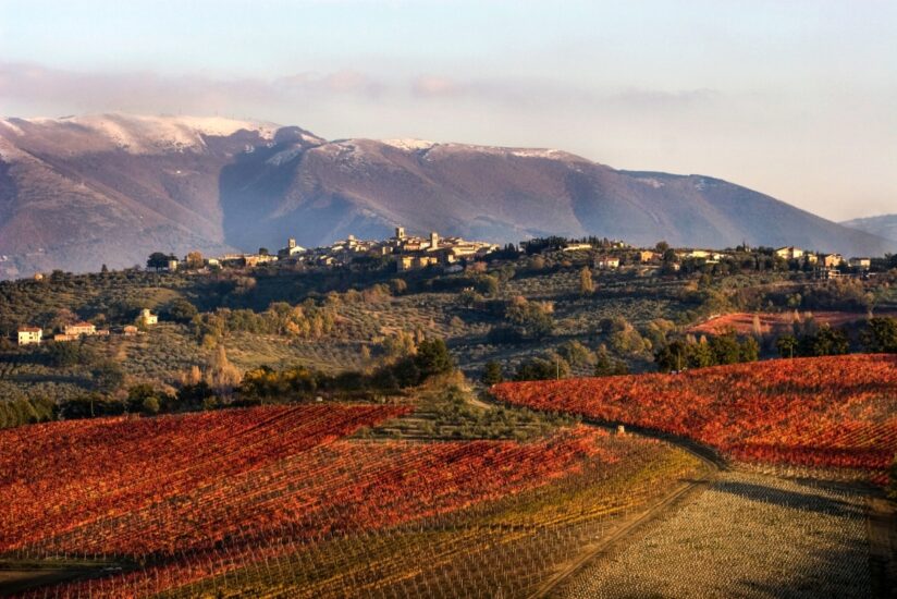 Il territorio di Montefalco