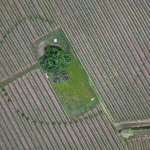 Preservare la biodiversit&agrave; tra boschi e vigneti: l&rsquo;esempio virtuoso di Mosnel in Franciacorta