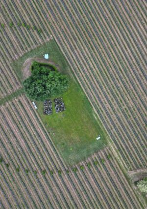 Preservare la biodiversit&agrave; tra boschi e vigneti: l&rsquo;esempio virtuoso di Mosnel in Franciacorta