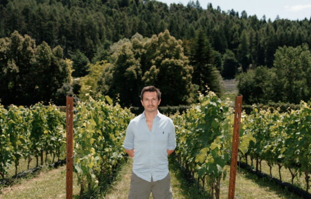 DENOMINAZIONI, NICOLA BIASI, RESISTENTI NICOLA BIASI, VINI PIWI, VIRIGNI RESISTENTI, Italia