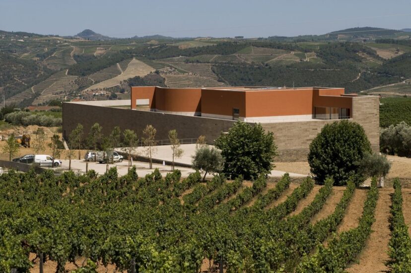 Quinta do Portal di Alvaro Siza nel Douro (credit: Fernando Guerra)