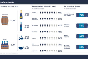 Vino, gi&ugrave; affari e consumi. Ma il 58% dei big si aspetta una crescita delle vendite nel 2026