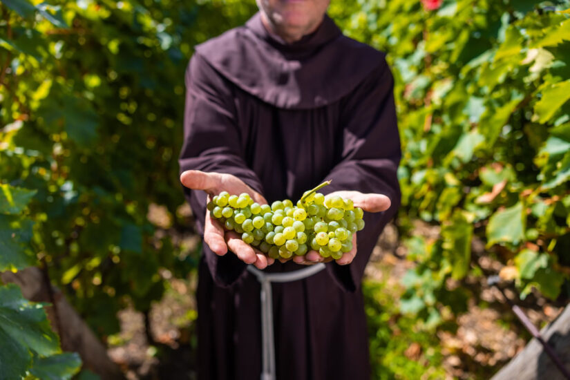 Il Convento di San Francesco della Vigna a Venezia dove i frati-vignerons producono vino con Santa Margherita