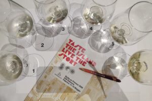 Una vendemmia 2025 ricca di pioggia, con uva equilibrata, rid&agrave; respiro alla Sicilia del vino