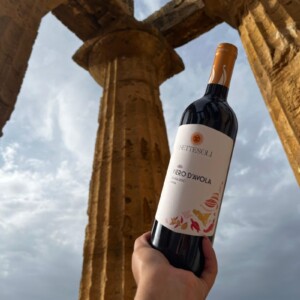 La Sicilia che si &egrave; aperta al mondo grazie alla letteratura, oggi si racconta attraverso il vino