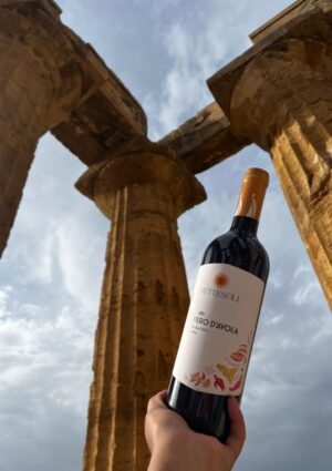 La Sicilia che si &egrave; aperta al mondo grazie alla letteratura, oggi si racconta attraverso il vino