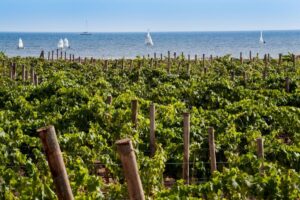 Da &ldquo;Sicilia en Primeur&rdquo;&nbsp;a Palermo a &ldquo;Porto Cervo Wine & Food Festival&rdquo; con i grandi vini delle isole
