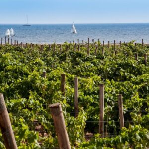 Da &ldquo;Sicilia en Primeur&rdquo;&nbsp;a Palermo a &ldquo;Porto Cervo Wine & Food Festival&rdquo; con i grandi vini delle isole