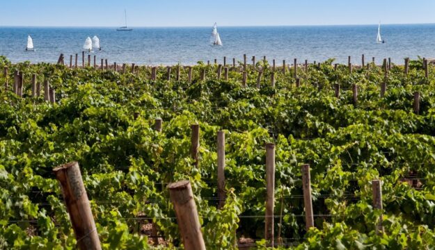 Da &ldquo;Sicilia en Primeur&rdquo;&nbsp;a Palermo a &ldquo;Porto Cervo Wine & Food Festival&rdquo; con i grandi vini delle isole