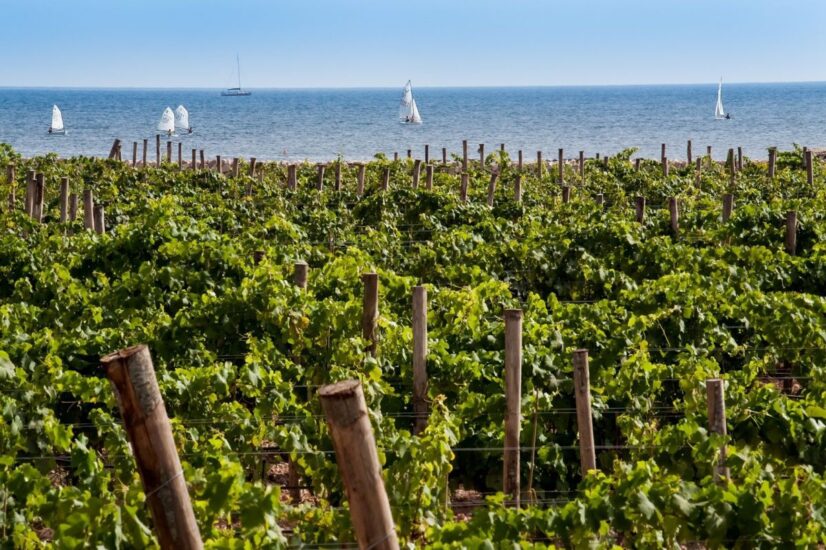 La Sicilia del vino si racconta al mondo a “Sicilia en Primeur” by Assovini Sicilia a Palermo