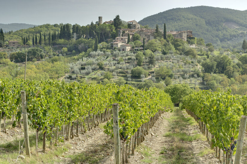 La Tenuta del Cabreo di Folonari, in Chianti Classico