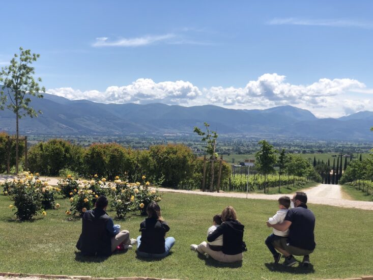 Tenuta Brancalupo - Lungarotti 